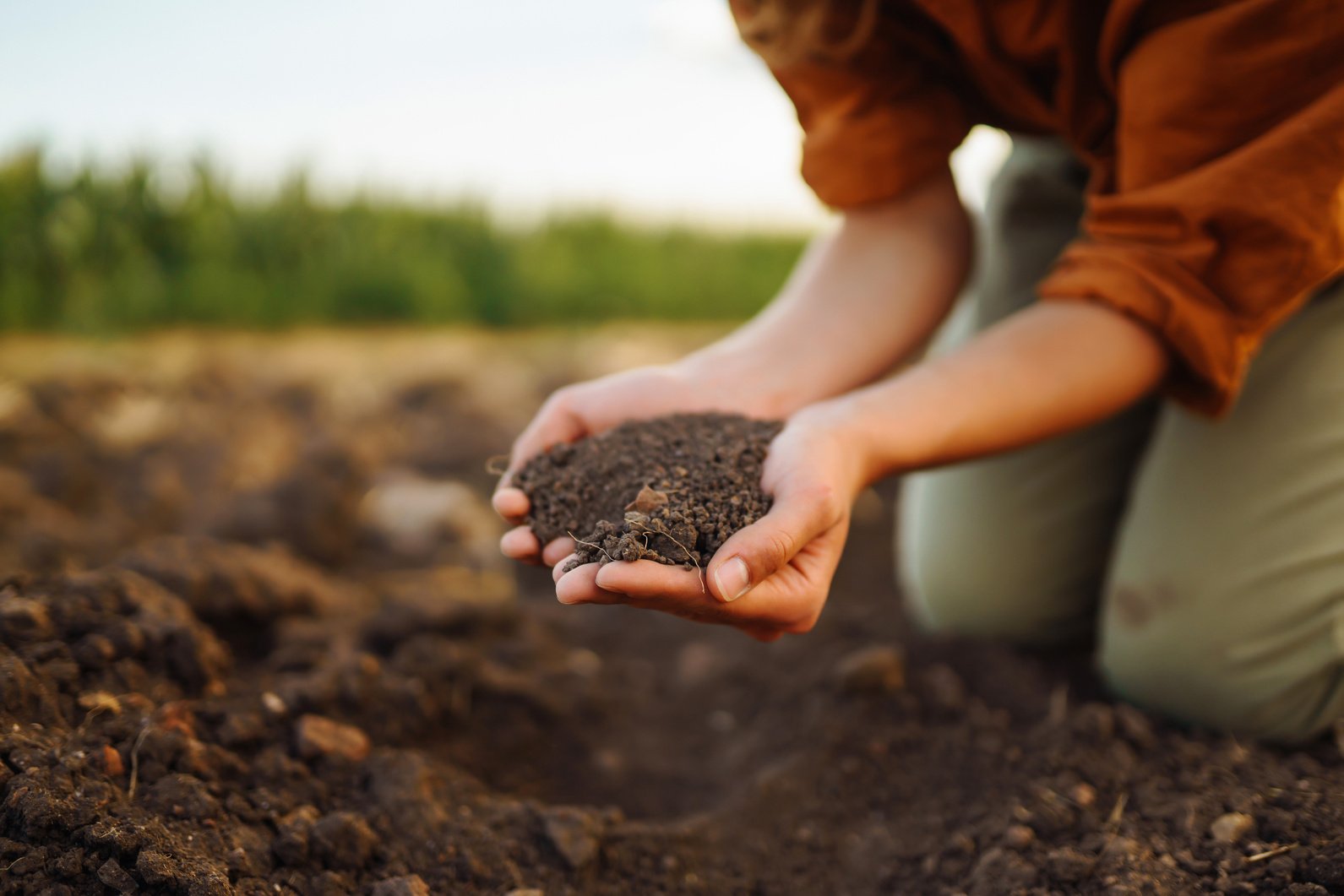 Female Hand of expert farmer collect soil and checking soil health before growth a seed of vegetable